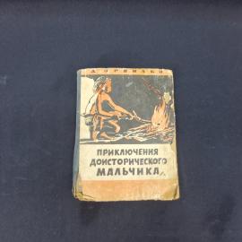 Даниил Ервиль. Приключения доисторического мальчика. Книга СССР, детская литература