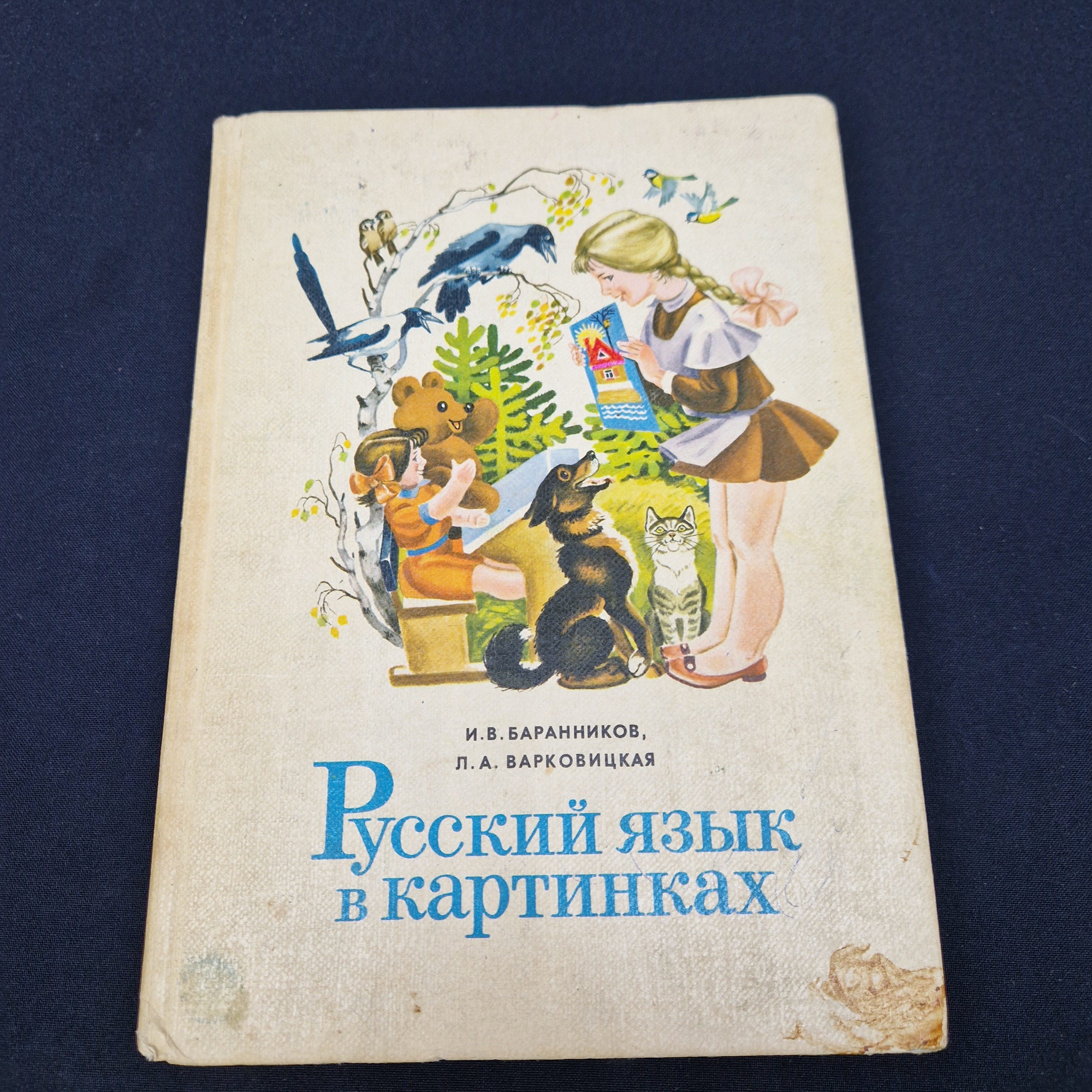 Картинка 1