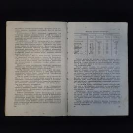 Картинка 5