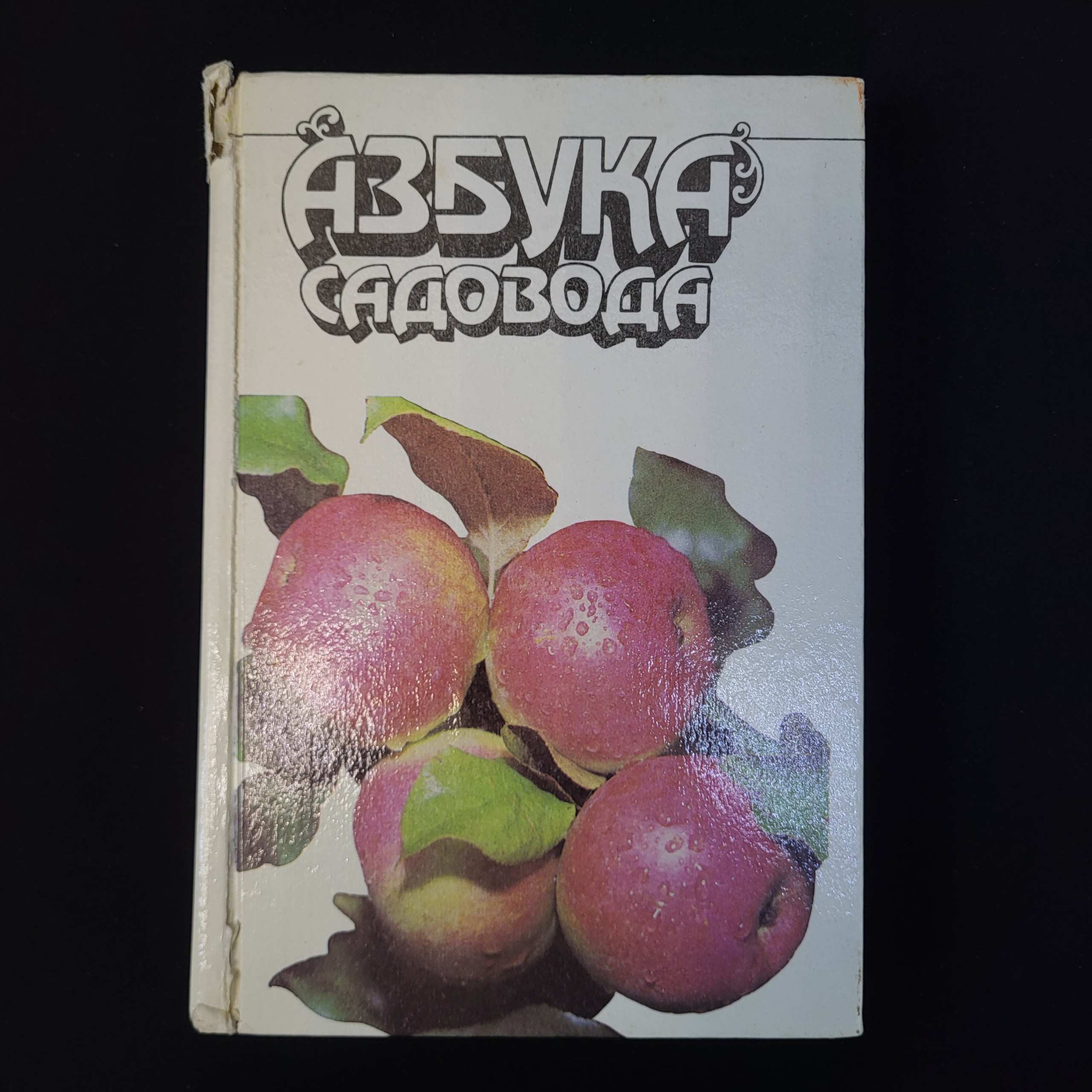 Картинка 1