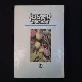 Картинка 3
