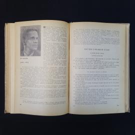 Картинка 6