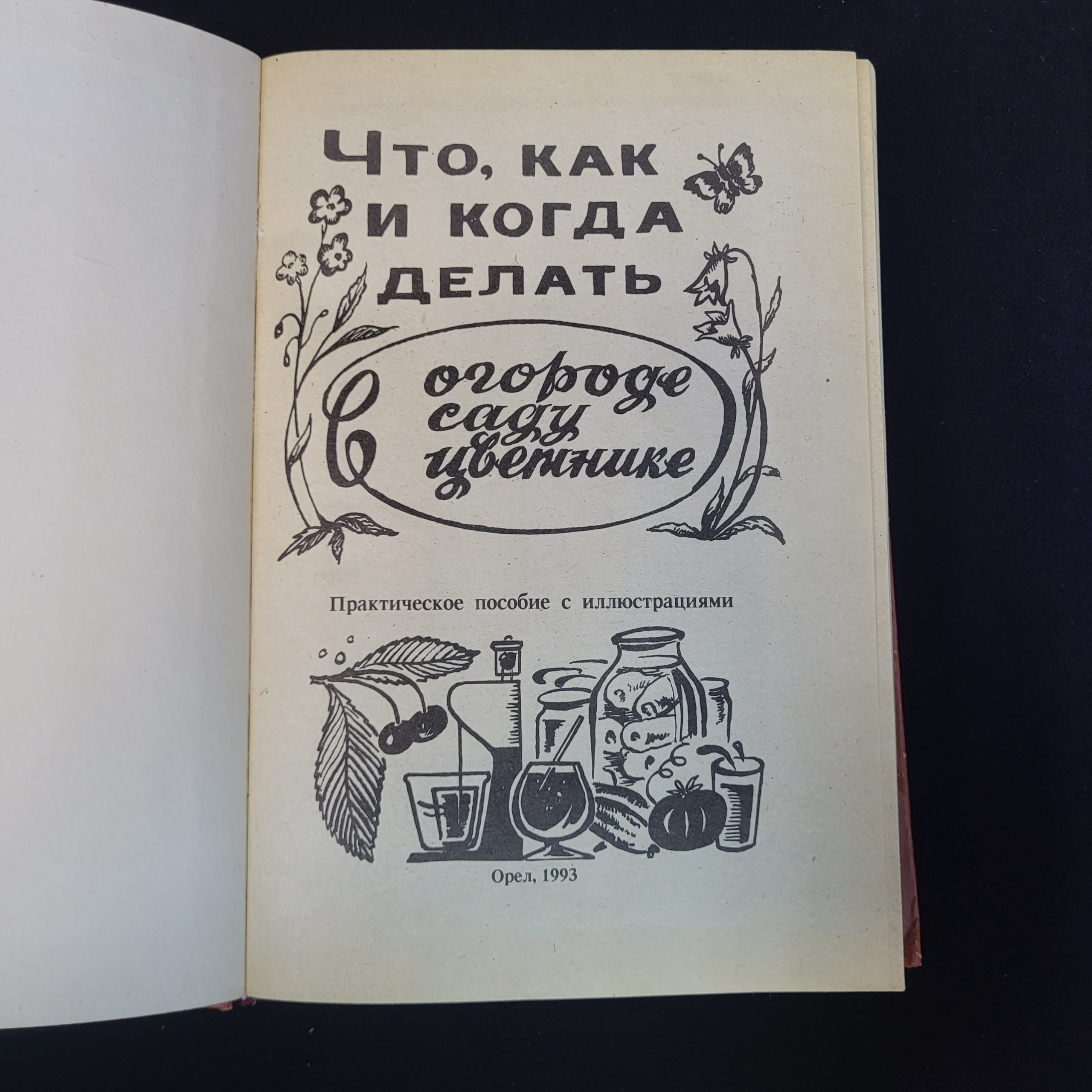 Картинка 4