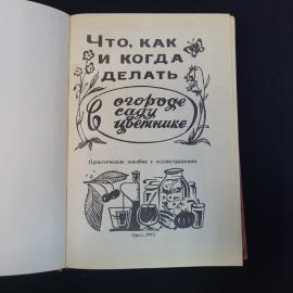 Картинка 4