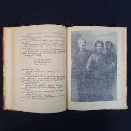 Картинка 5