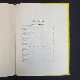 Картинка 5