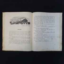 Картинка 6