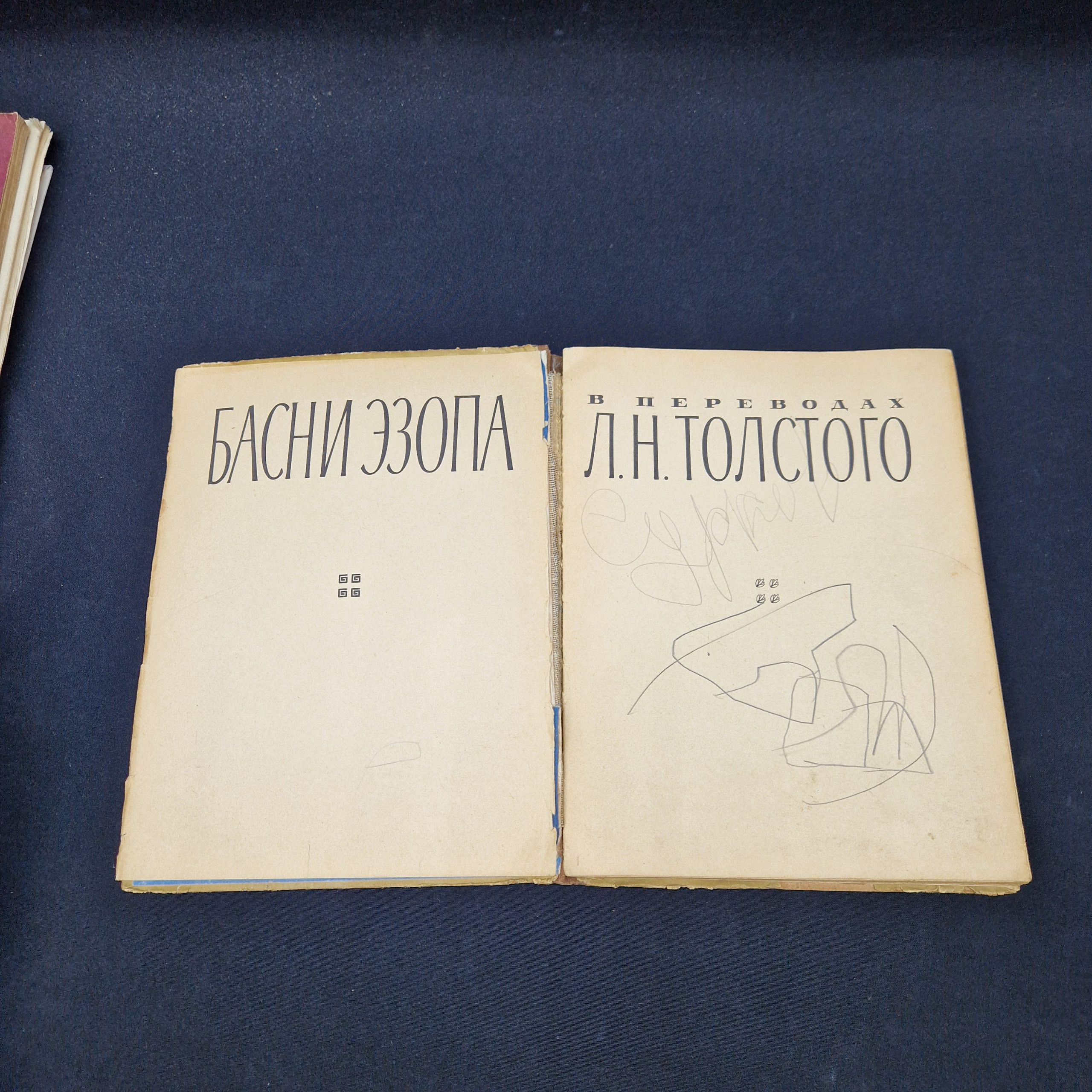 Картинка 2