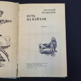Картинка 4