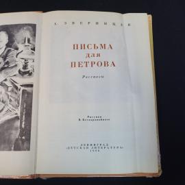 Картинка 4