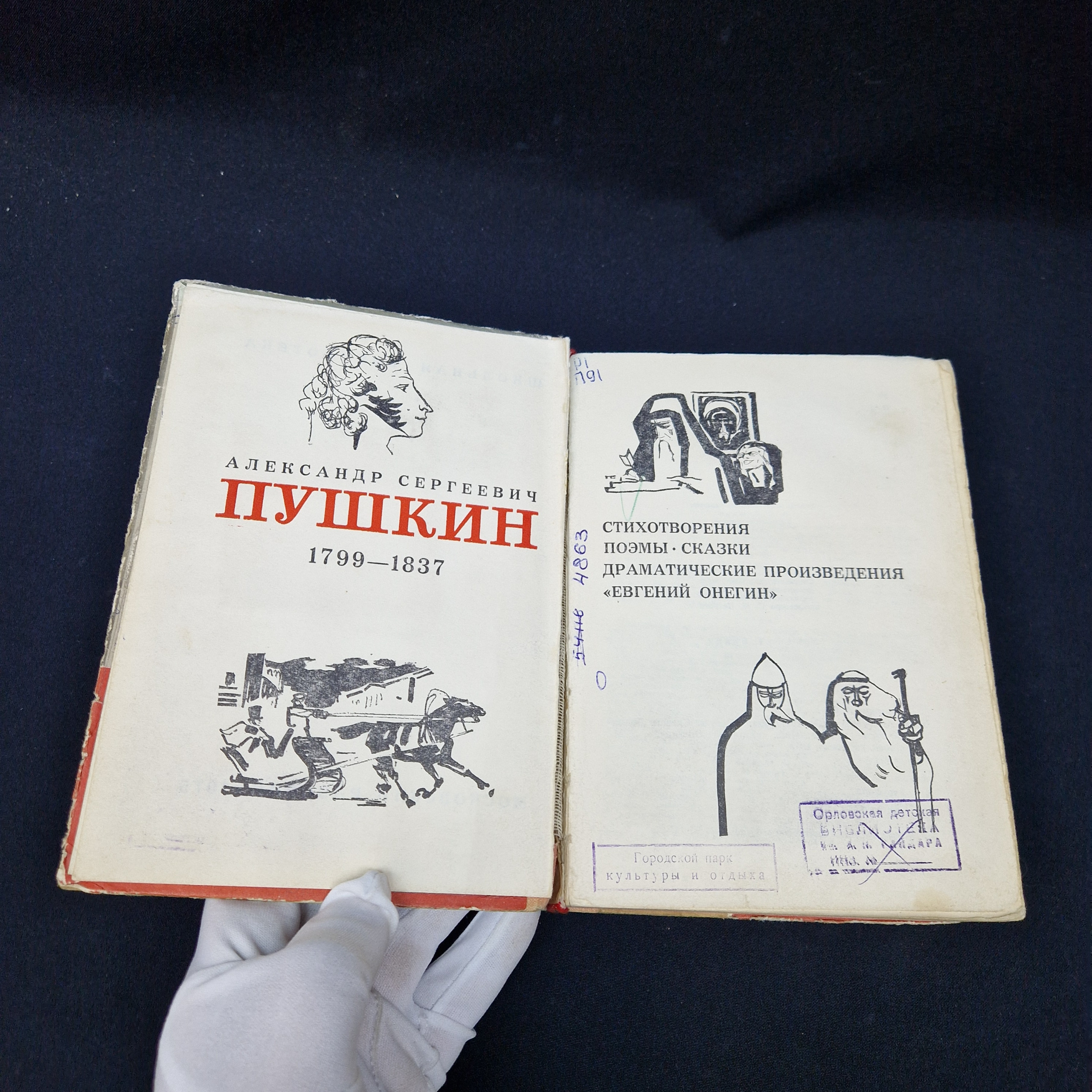 Картинка 3