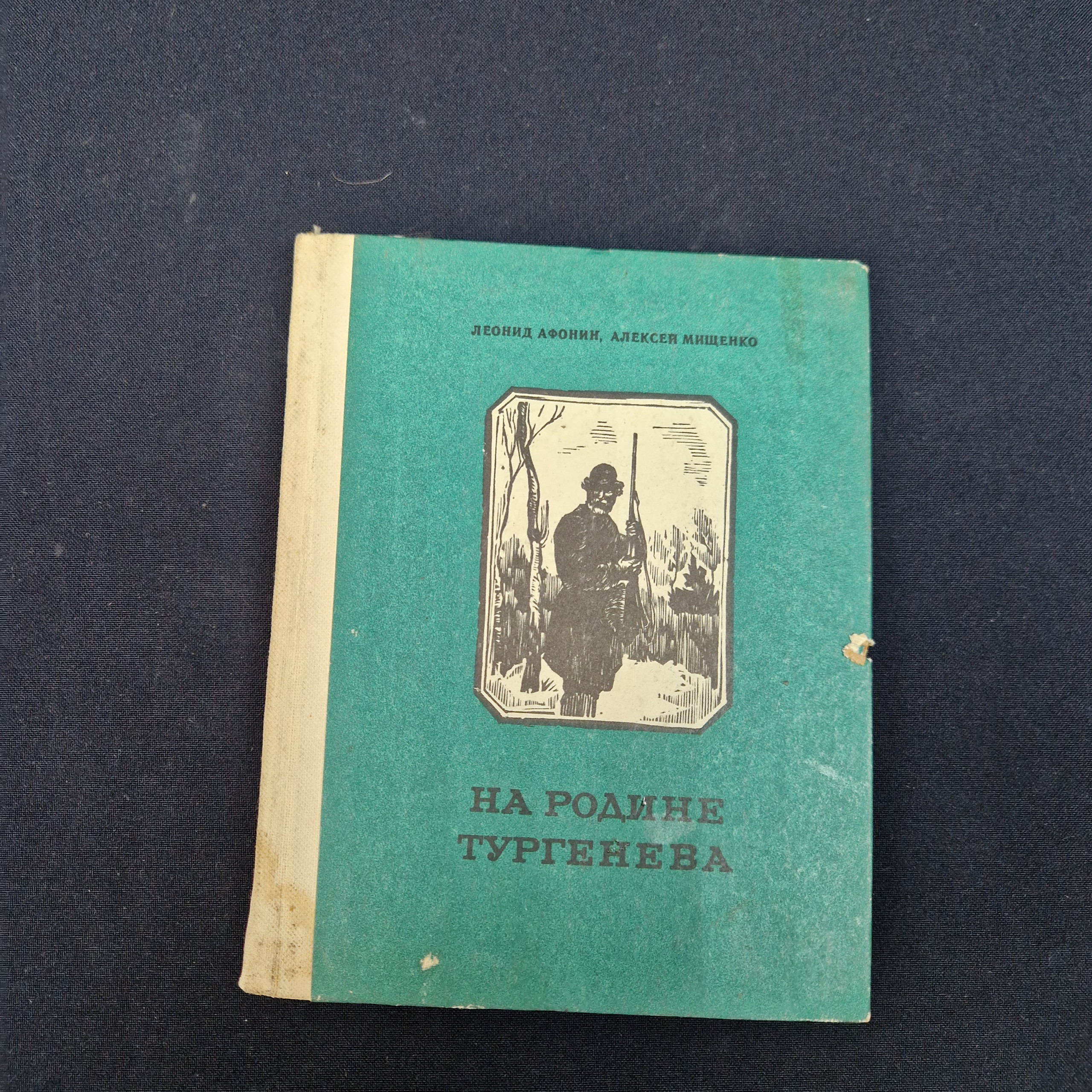 Картинка 1