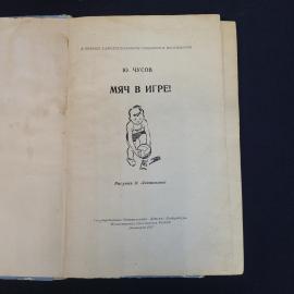 Картинка 4