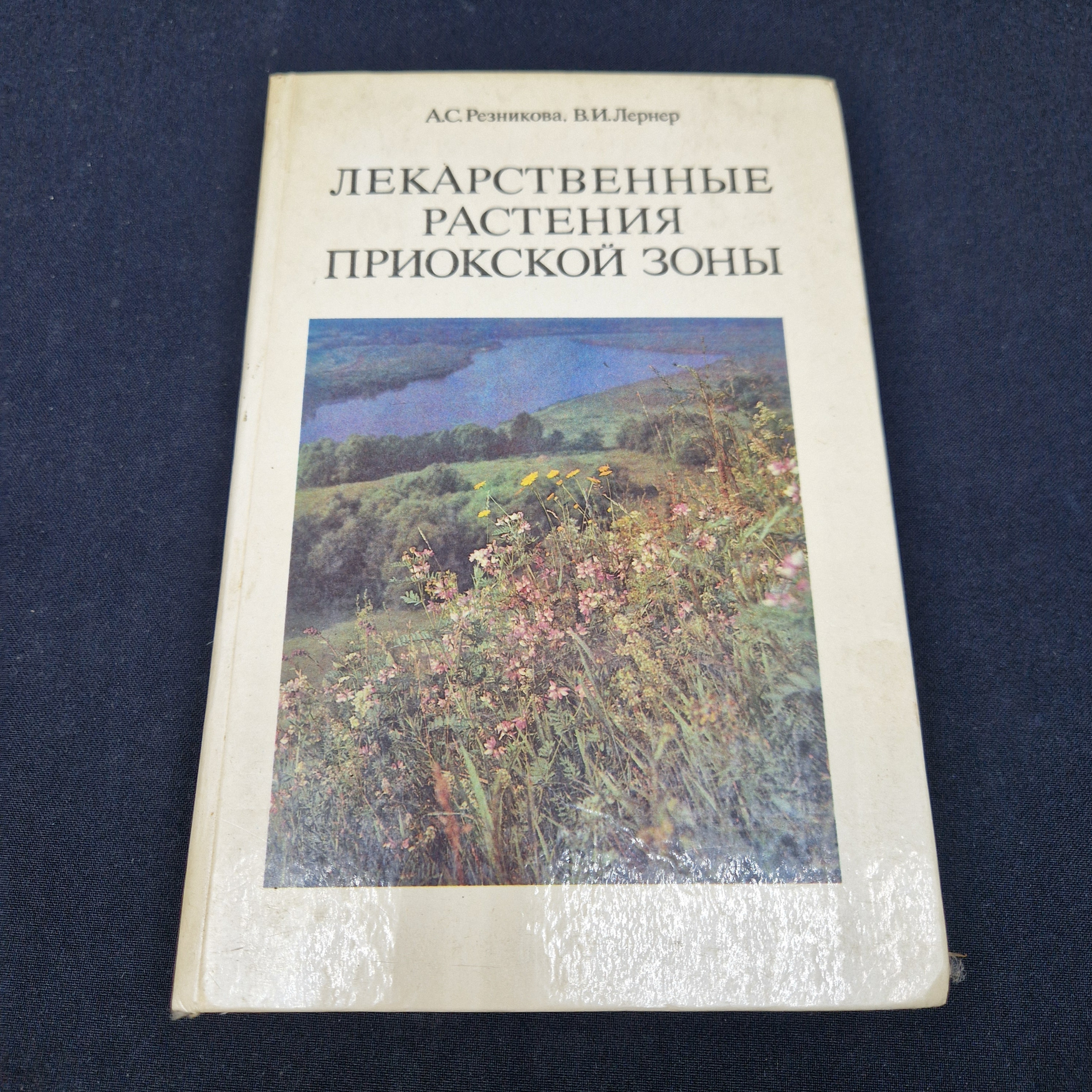 Картинка 1