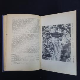 Картинка 6