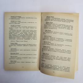 Картинка 6