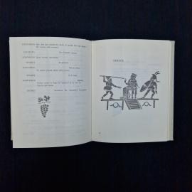 Картинка 6