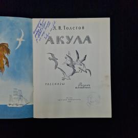 Картинка 3