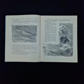 Картинка 4