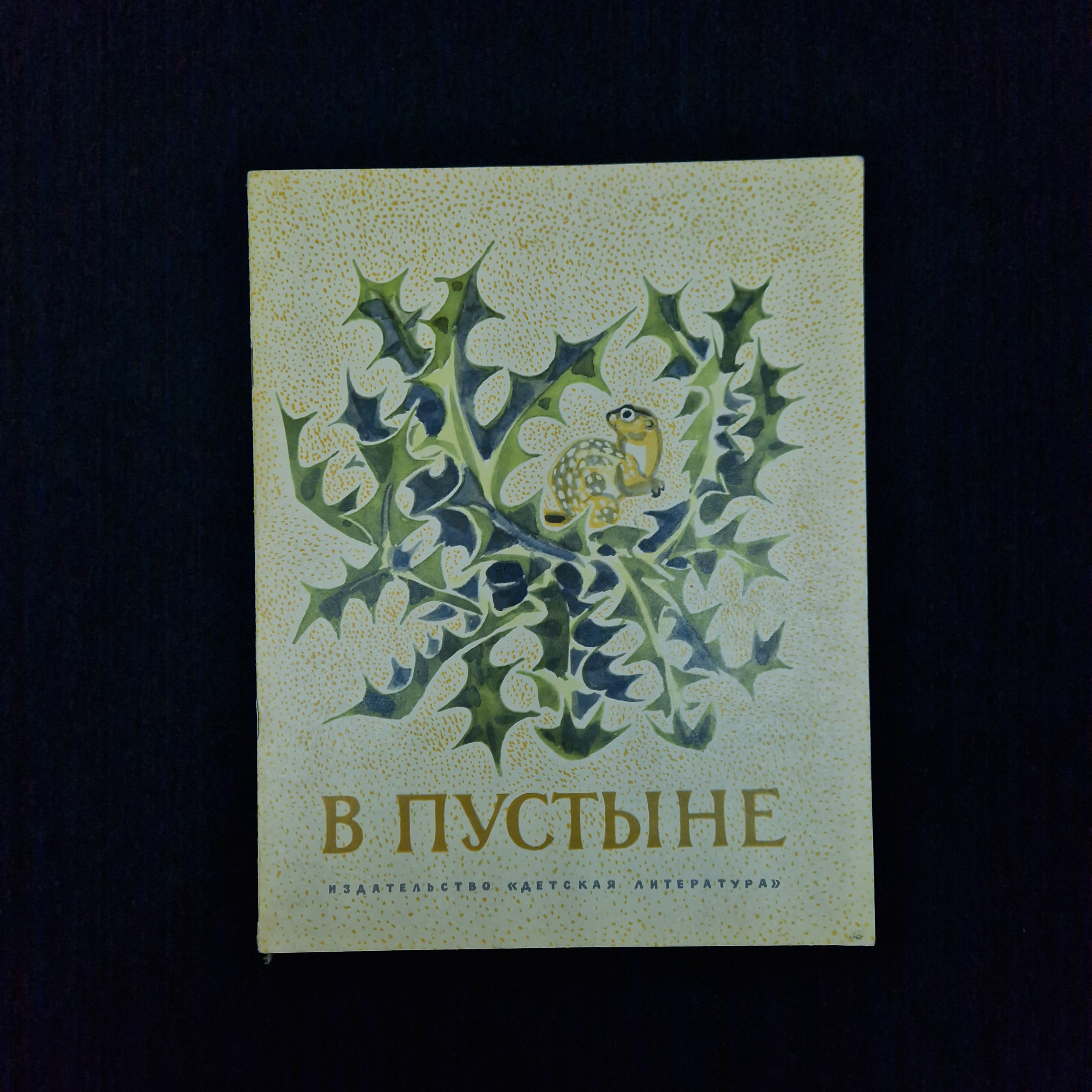 Картинка 1