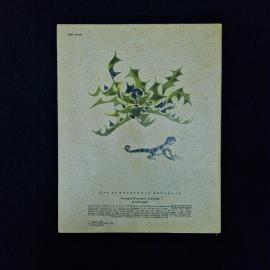 Картинка 2