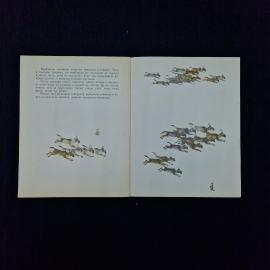 Картинка 6