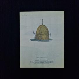 Картинка 2