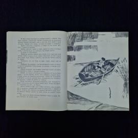 Картинка 4