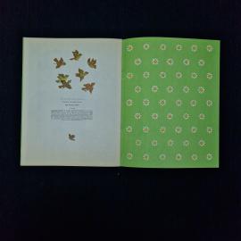 Картинка 5