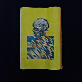 Картинка 2
