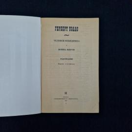 Картинка 4