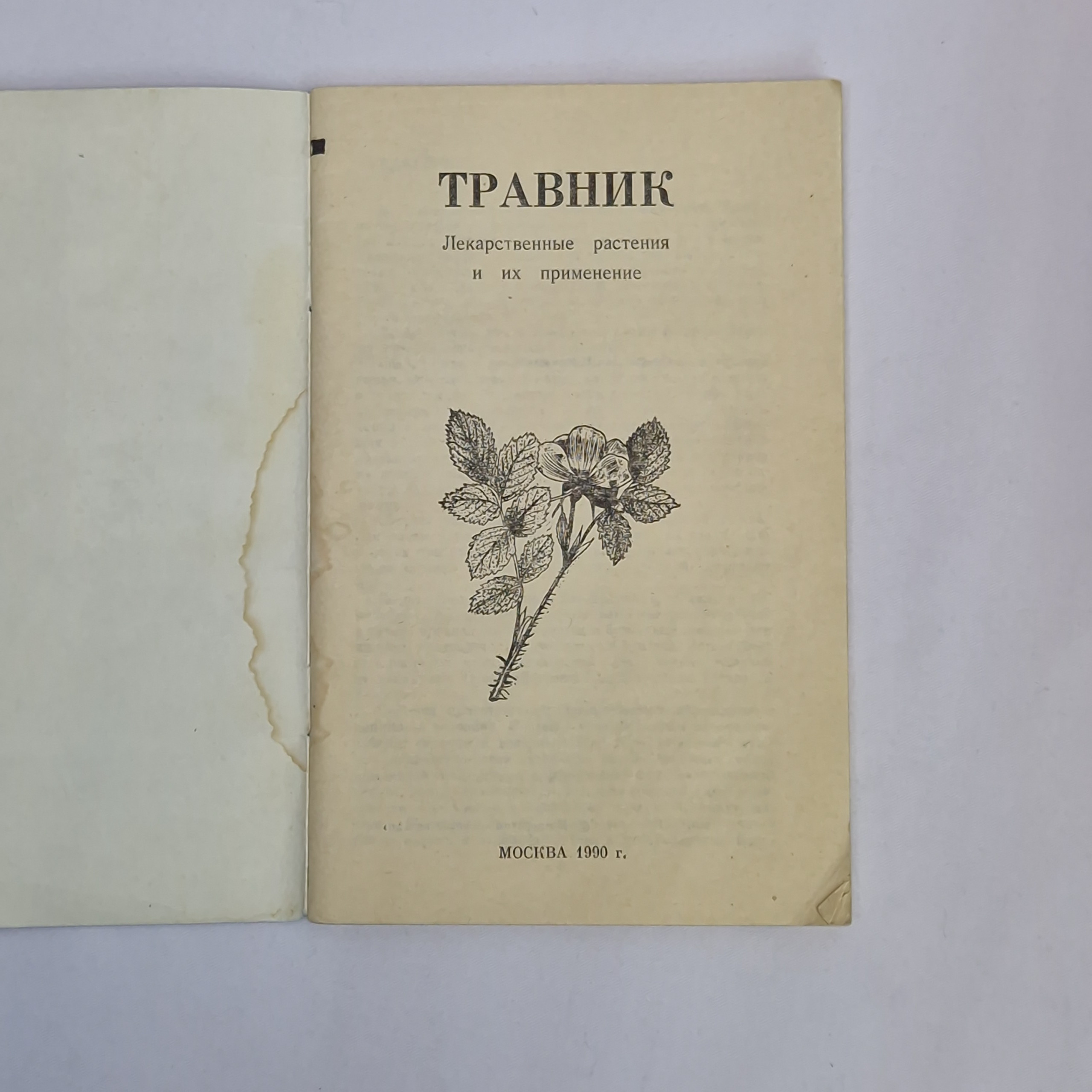 Картинка 3