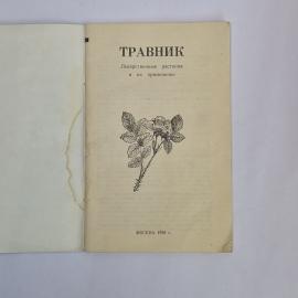 Картинка 3