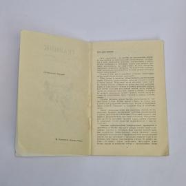 Картинка 4