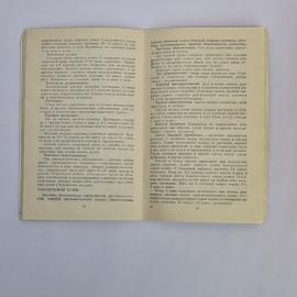 Картинка 5