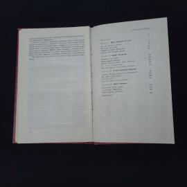 Картинка 5