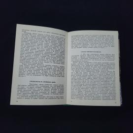 Картинка 4