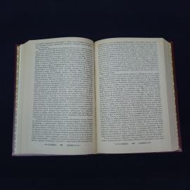 Картинка 5