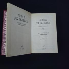 Картинка 5
