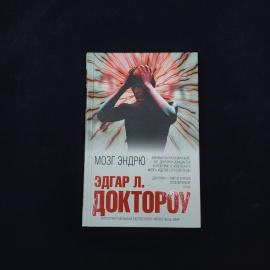Эдгар Доктороу. Мозг Эндрю. Книга, роман
