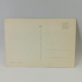 Картинка 2