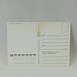Картинка 2