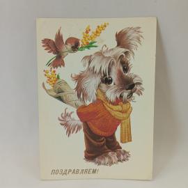 Картинка 1
