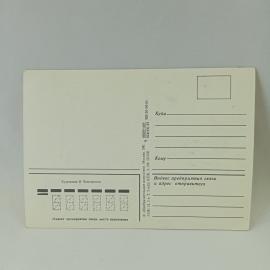 Картинка 2