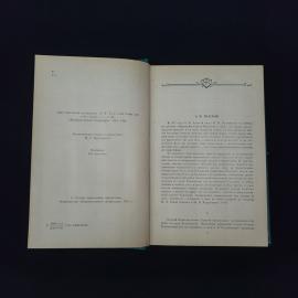 Картинка 5