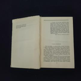 Картинка 4