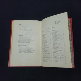 Картинка 5