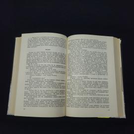Картинка 4