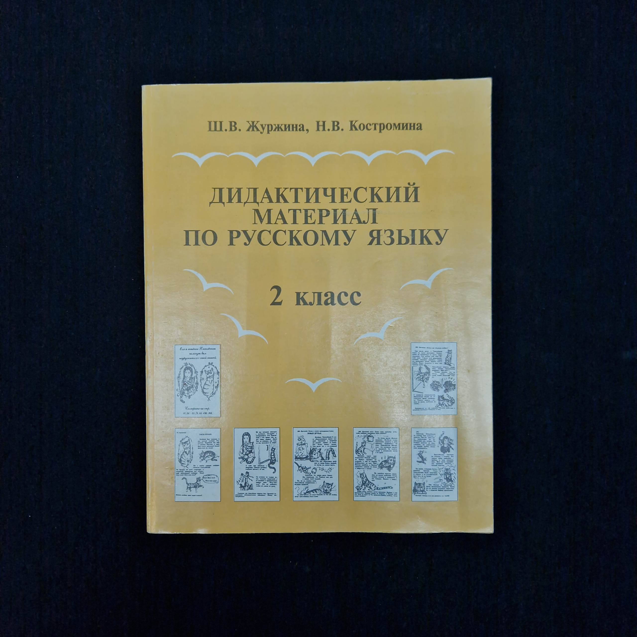 Картинка 1