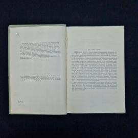 Картинка 5